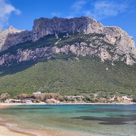 Semesterbostad Peter Pan's Oasis Olbia